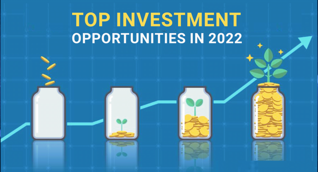 top-investment-opportunities-in-2022
